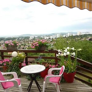 Joli Petit Sur Les Côtes De Cébazat/clermont Ferrand Cébazat